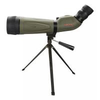 Binoculars & Scopes