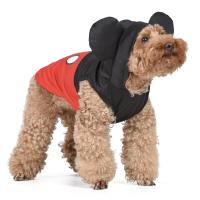 Apparel & Accessories