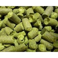 Beer Brewing Ingredients