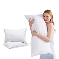 Bed Pillows