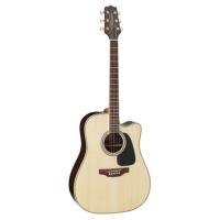 Acoustic-Electric Guitars