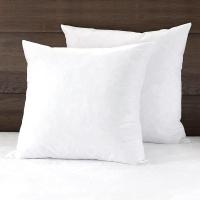 Pillow Inserts