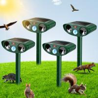 Pest Control