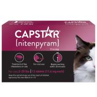 Flea & Tick Control
